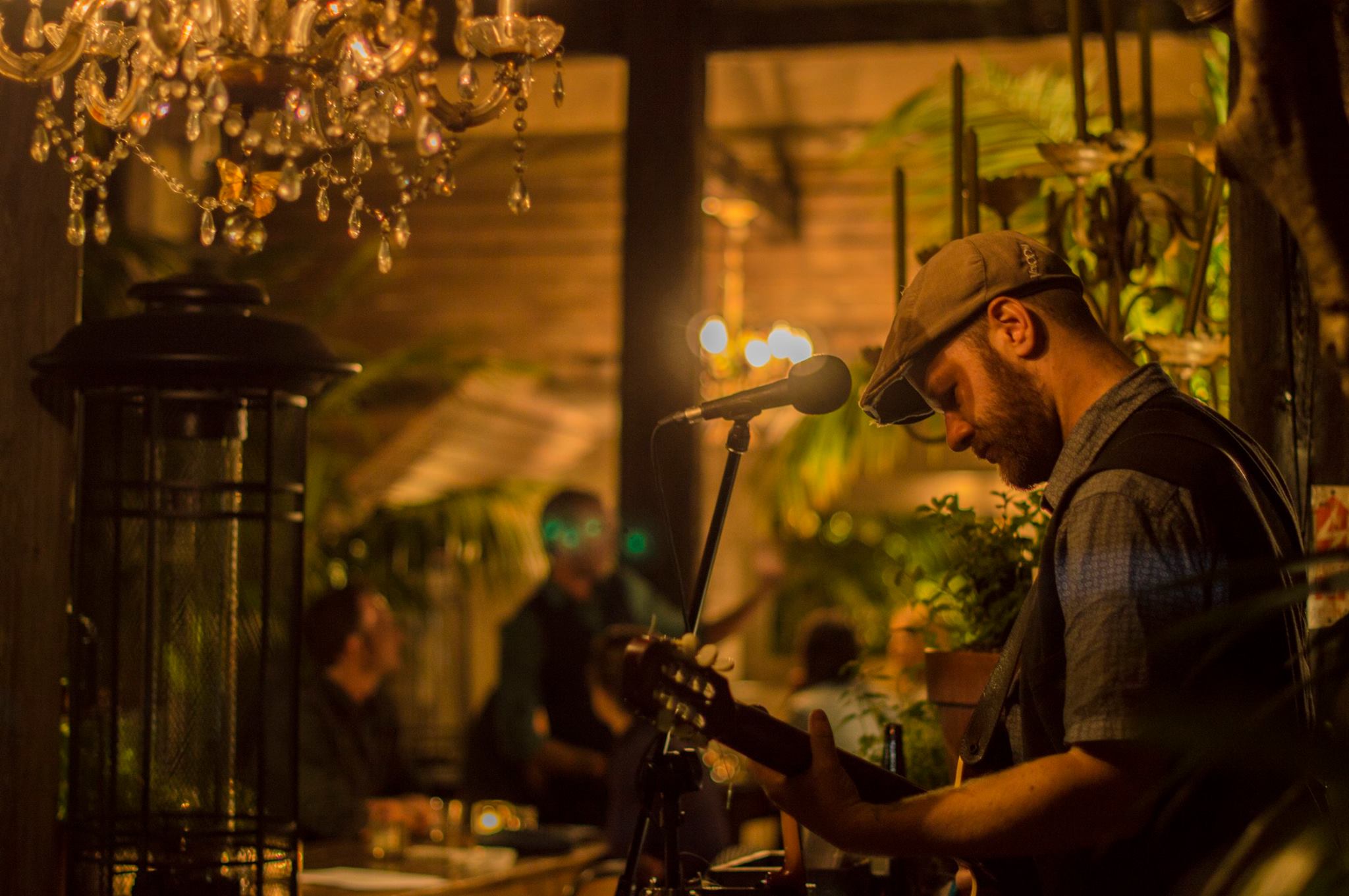 Live garden music at the Olive cafe. - Olive Restaurant Wellington